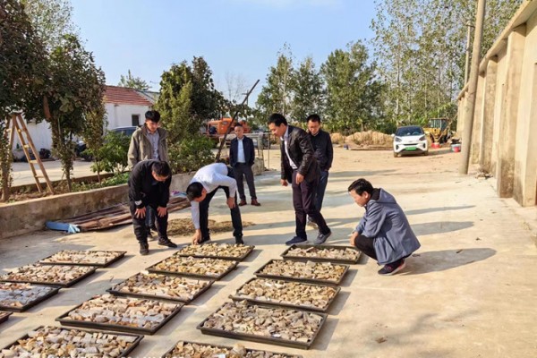 队领导班子前往地勘所凤阳矿山项目走访调研