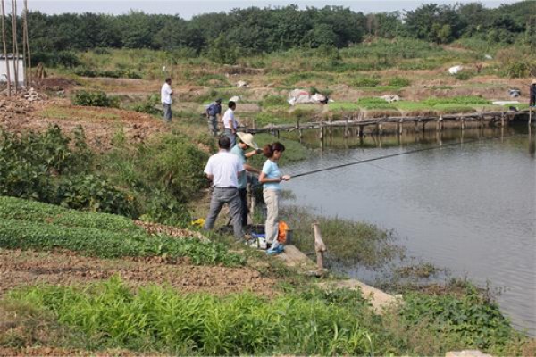 “迎国庆”垂钓活动